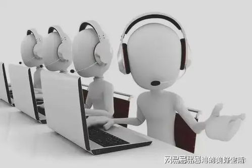 蕓豆花官網客服服務體系升級，提供全方位用戶信息咨詢服務